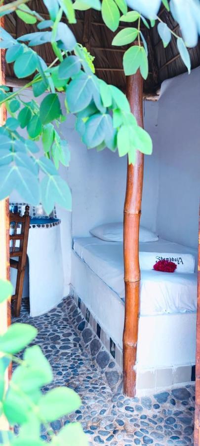 Shambhala Vision Ξενοδοχείο Zipolite Εξωτερικό φωτογραφία